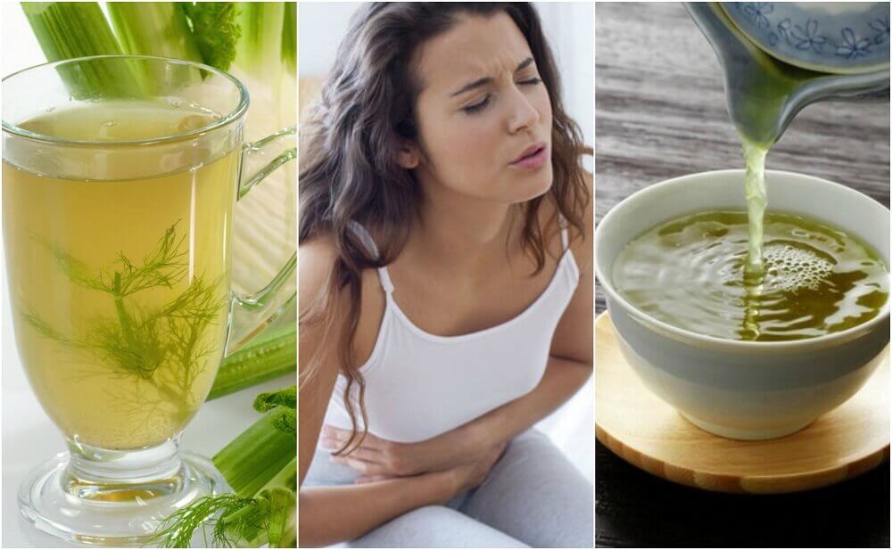 5 infusões de plantas para combater a indigestão 5 infusões de plantas para combater a indigestão