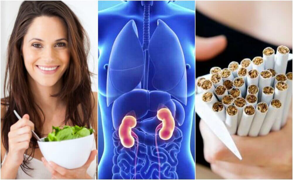 6 cuidados básicos para proteger a saúde dos rins