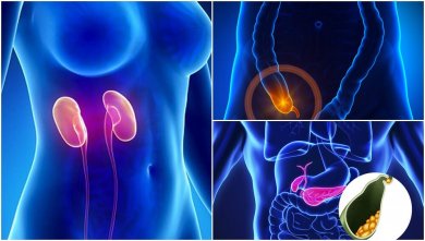 7 partes do corpo que não são necessárias para viver