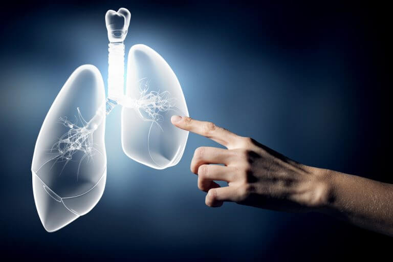 Homem analisando pulmões saudáveis