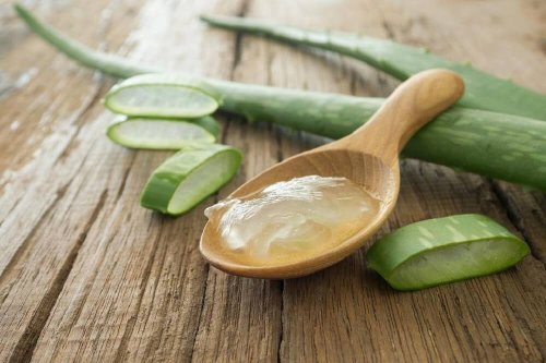 O gel de aloe vera ajuda a ter um cabelo mais saudável