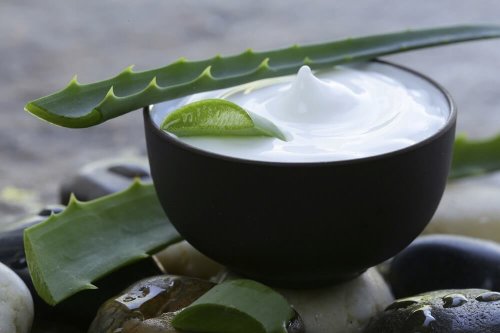 Tratamento de aloe vera, leite de coco e limão para ter um cabelo saudável