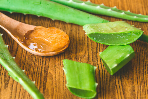 Aloe vera