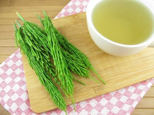 Chá de cavalinha ajuda a remover pedras nos rins