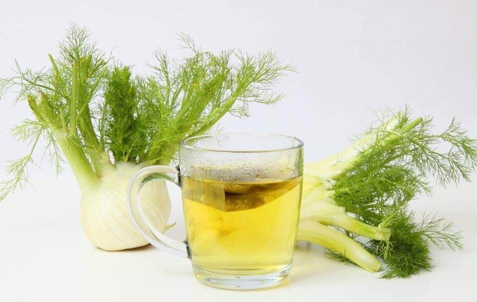 Infusão de funcho