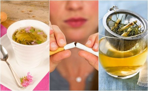 Como acalmar a ansiedade de fumar com 5 infusões de plantas
