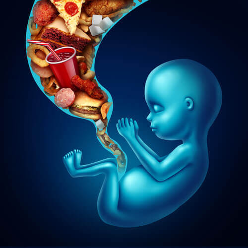 Desenho de bebê comendo no útero