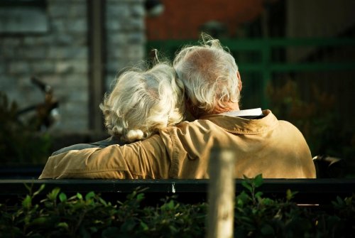 Dieta MIND: alimentação que ajuda a prevenir o Alzheimer
