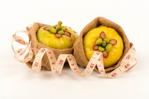 Garcinia cambogia, uma ajuda natural para perder peso