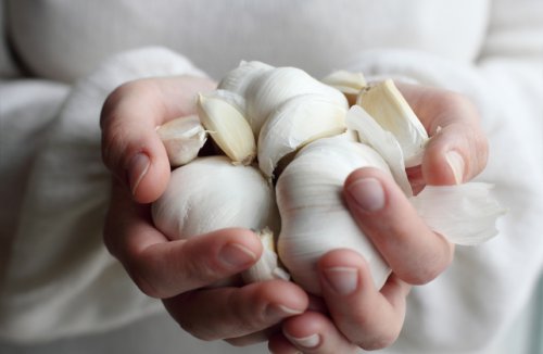 Mãos segurando cabeças de alho