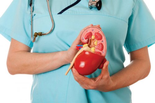 Saúde renal