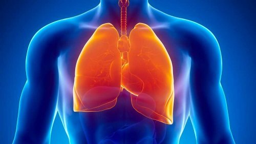 A tuberculose pode ser uma das causas médicas de suores noturnos