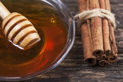 8 benefícios medicinais da mistura de canela e mel