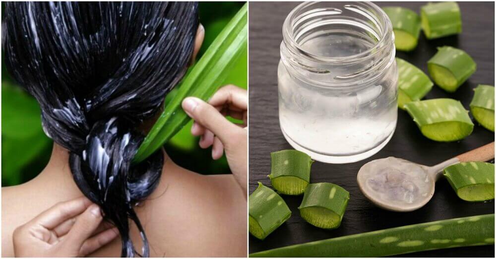 Máscara de aloe vera para os cabelos