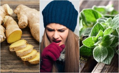 5 remédios à base de plantas que ajudam a expulsar o muco