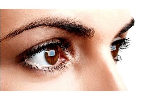Olhos e sobrancelhas de mulher