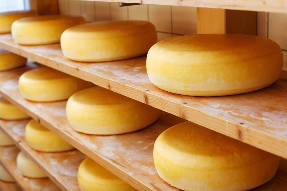 Queijo cheddar envelhecido