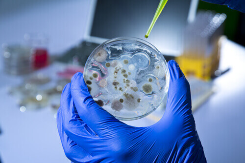 Teste de laboratório