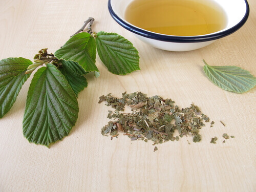 A água de hamamélia serve para tratar a pseudofoliculite