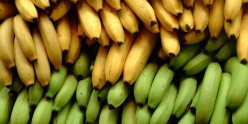 3 diferenças nutricionais entre a banana e o plátano