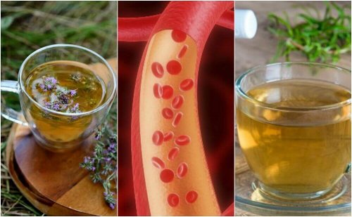 5 infusões de ervas para limpar as artérias naturalmente