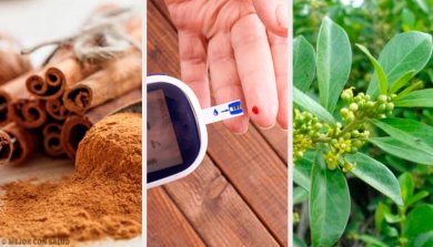 5 plantas medicinais que ajudam a controlar a diabetes