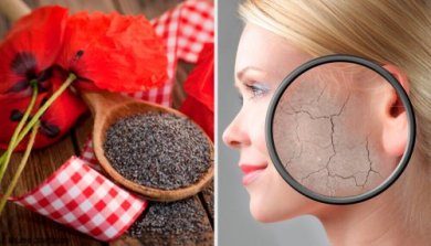 7 esfoliantes corporais para a pele seca