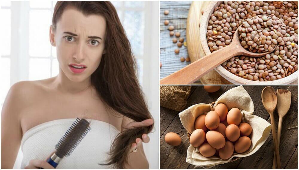 alimentos q evitam a queda de cabelo