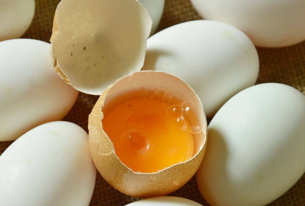 Como saber se um ovo não está fresco? 