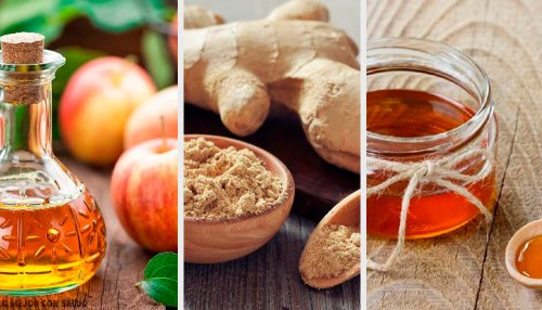 Tônico digestivo, adelgaçante e revitalizador de vinagre, gengibre e mel