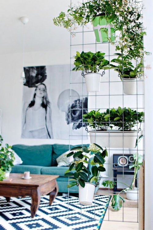 Separador com plantas