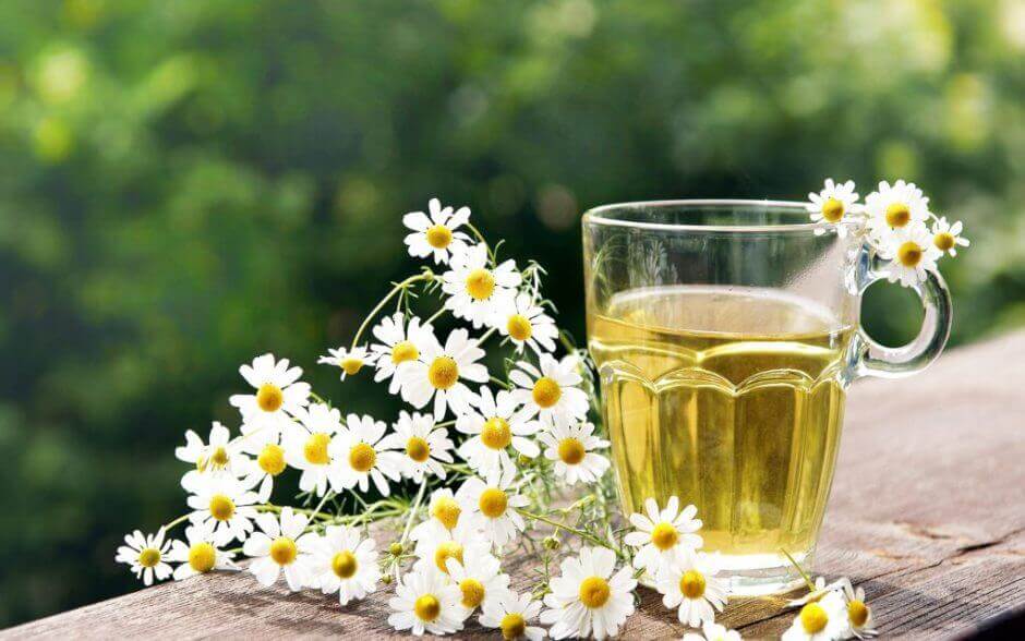 Chá com flores de camomila