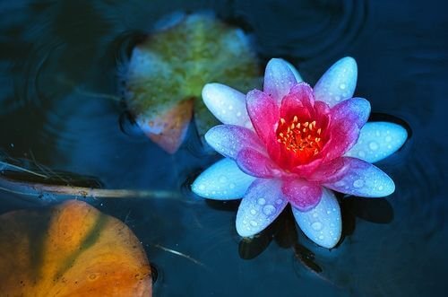 As 4 regras de vida para alcançar a paz interior de acordo com o Tao