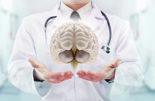 Informações sobre o cérebro