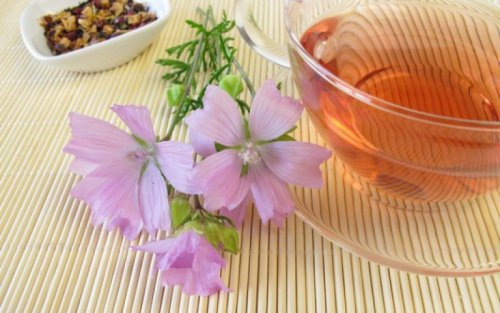 Chá de malva