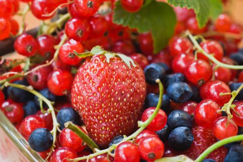 Frutas vermelhas