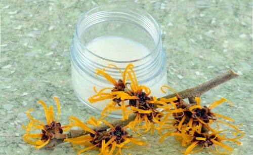 A água de hamammélis pode ajudar a aliviar o ardor nos pés