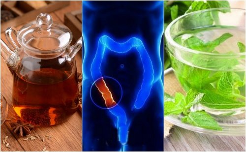 Como preparar 5 chás medicinais para limpar o cólon naturalmente