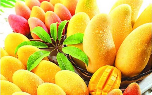 A manga é uma das melhores frutas tropicais para a saúde