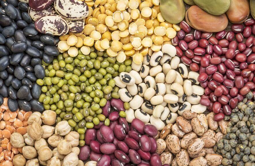 Nutrientes das leguminosas: você sabe quais são os principais?