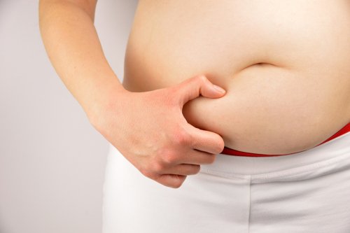 A obesidade é produto da resistência à insulina