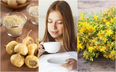 5 plantas medicinais que ajudam a aumentar o desejo sexual