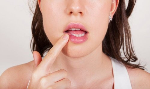 Protetor labial