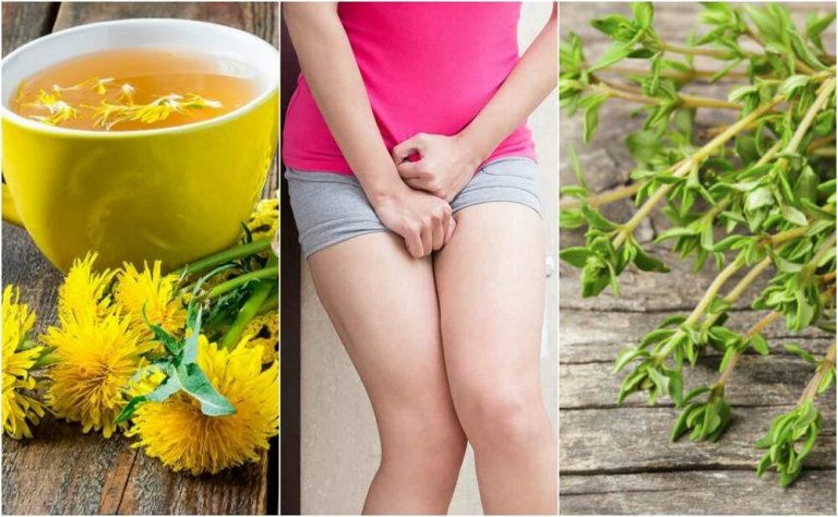 5 remédios herbais para aliviar a cistite