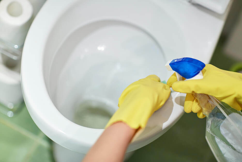 Limpar o vaso sanitário