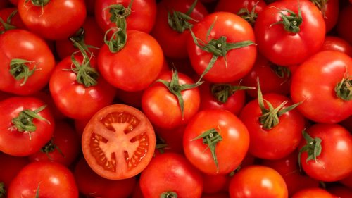 Tomates vermelhos