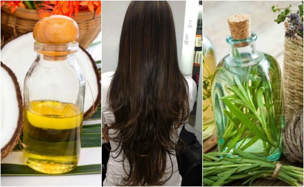 Tratamento caseiro de óleo de coco e alecrim para fazer o cabelo crescer