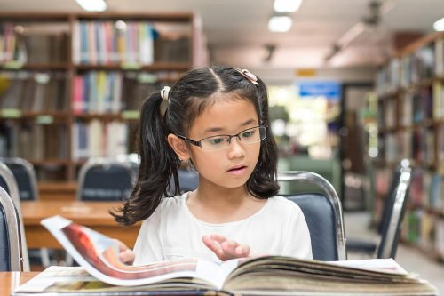 4 tipos de superdotação intelectual