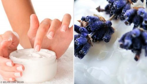 5 receitas para preparar um creme caseiro para as mãos