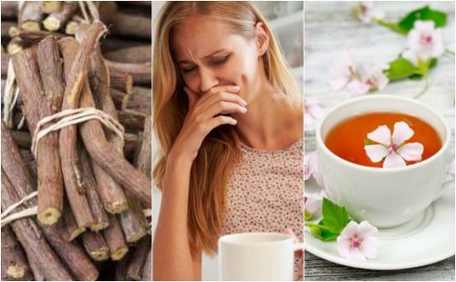 5 remédios naturais para aliviar a esofagite